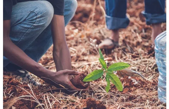 Keeping Our Sustainability Promise