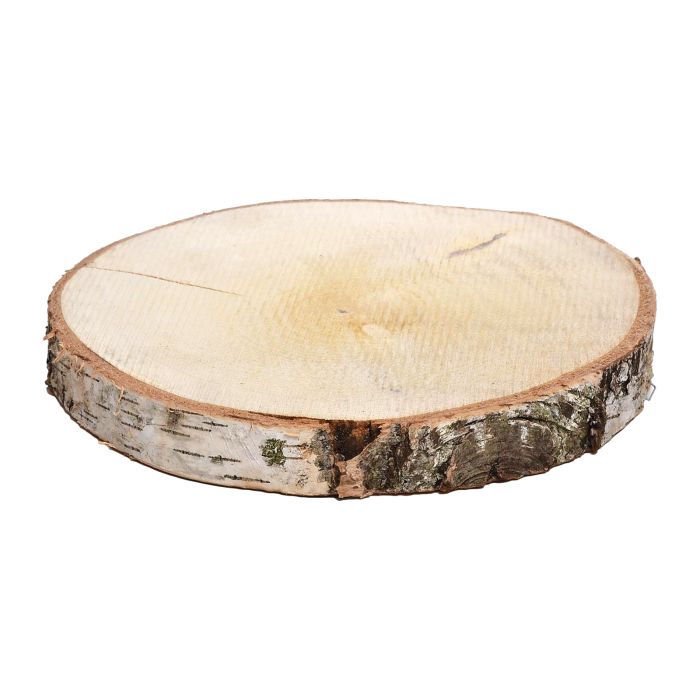 LARGE over 20cm Round Tree Log Slice Perfect for Rustic