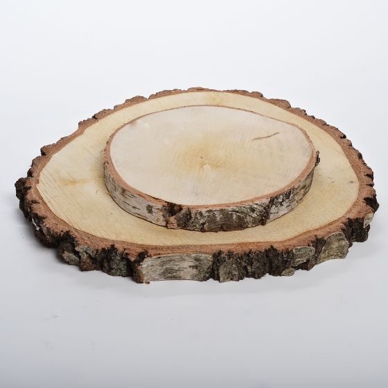 Seconds Quality - 29cm–33cm (3.5cm thick) XL LARGE Round Wood Log Slice - APWD2300